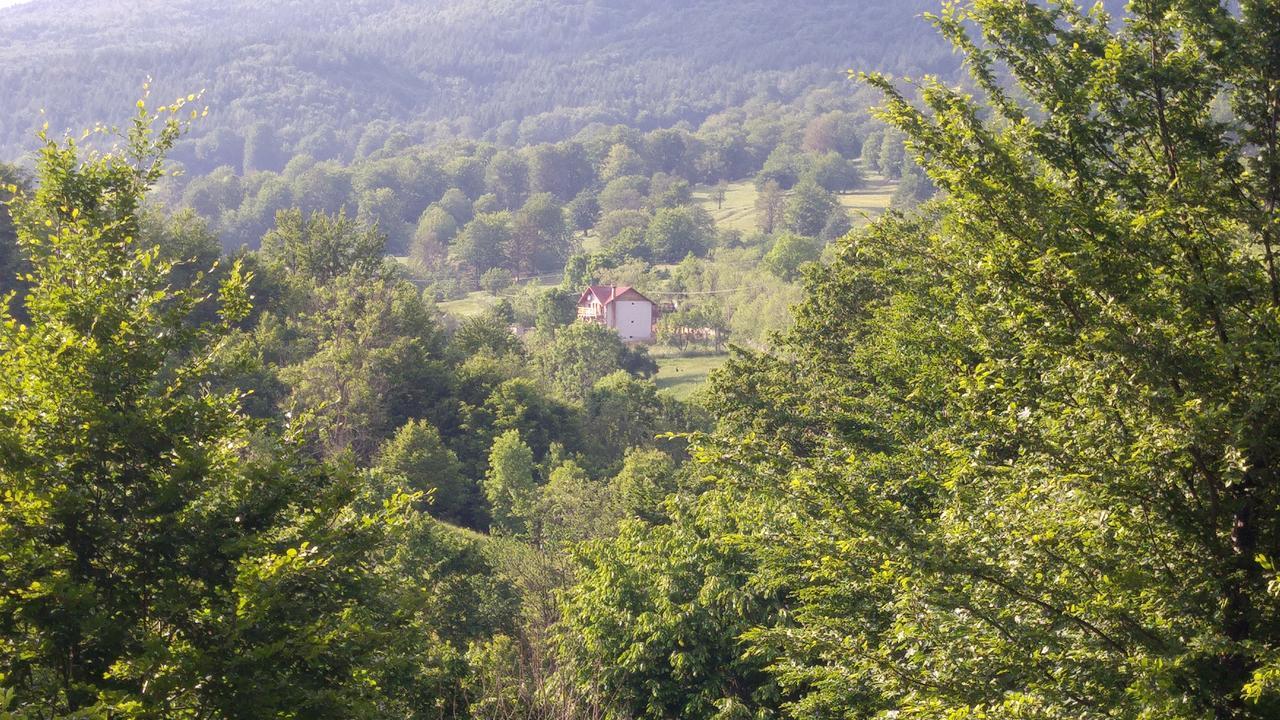 Casa Din Piatra Hotel Poiana  ภายนอก รูปภาพ
