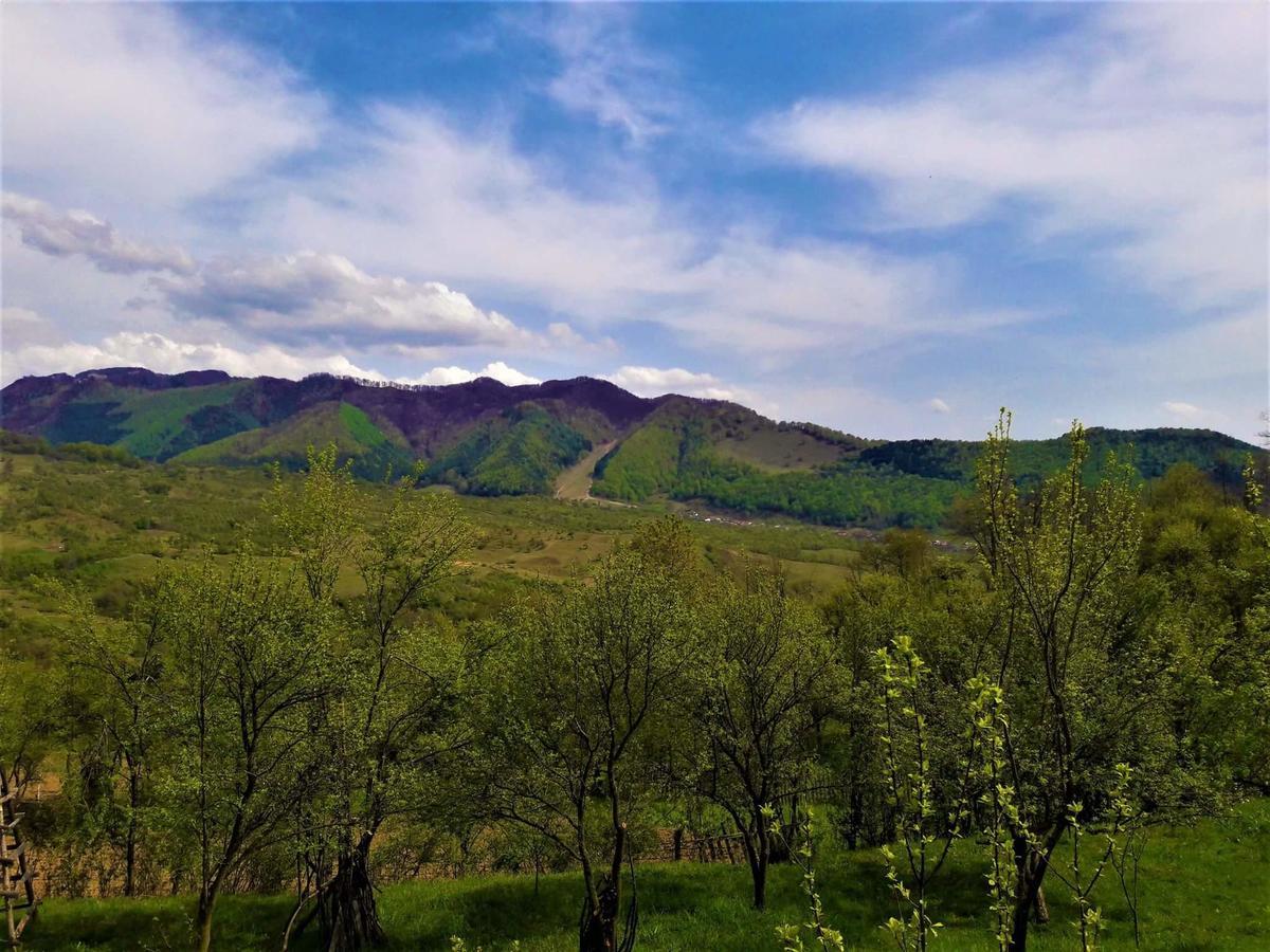 Casa Din Piatra Hotel Poiana  ภายนอก รูปภาพ