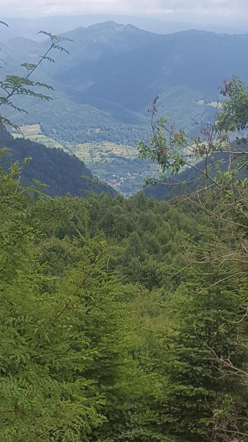 Casa Din Piatra Hotel Poiana  ภายนอก รูปภาพ