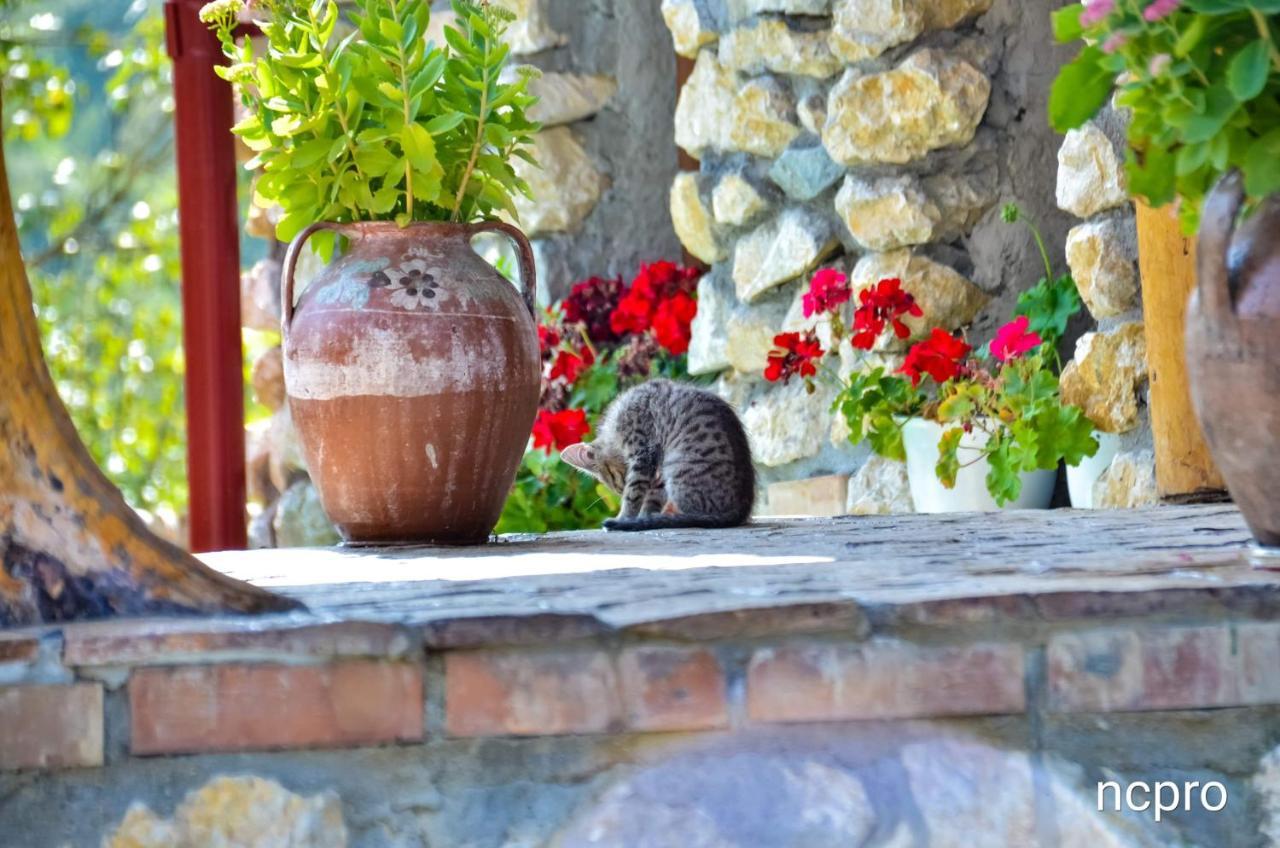 Casa Din Piatra Hotel Poiana  ภายนอก รูปภาพ